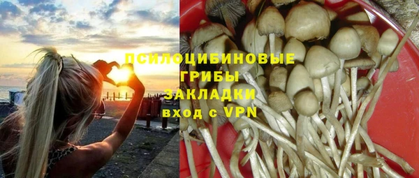гидра Баксан