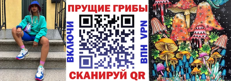 Галлюциногенные грибы Psilocybine cubensis  Бузулук 